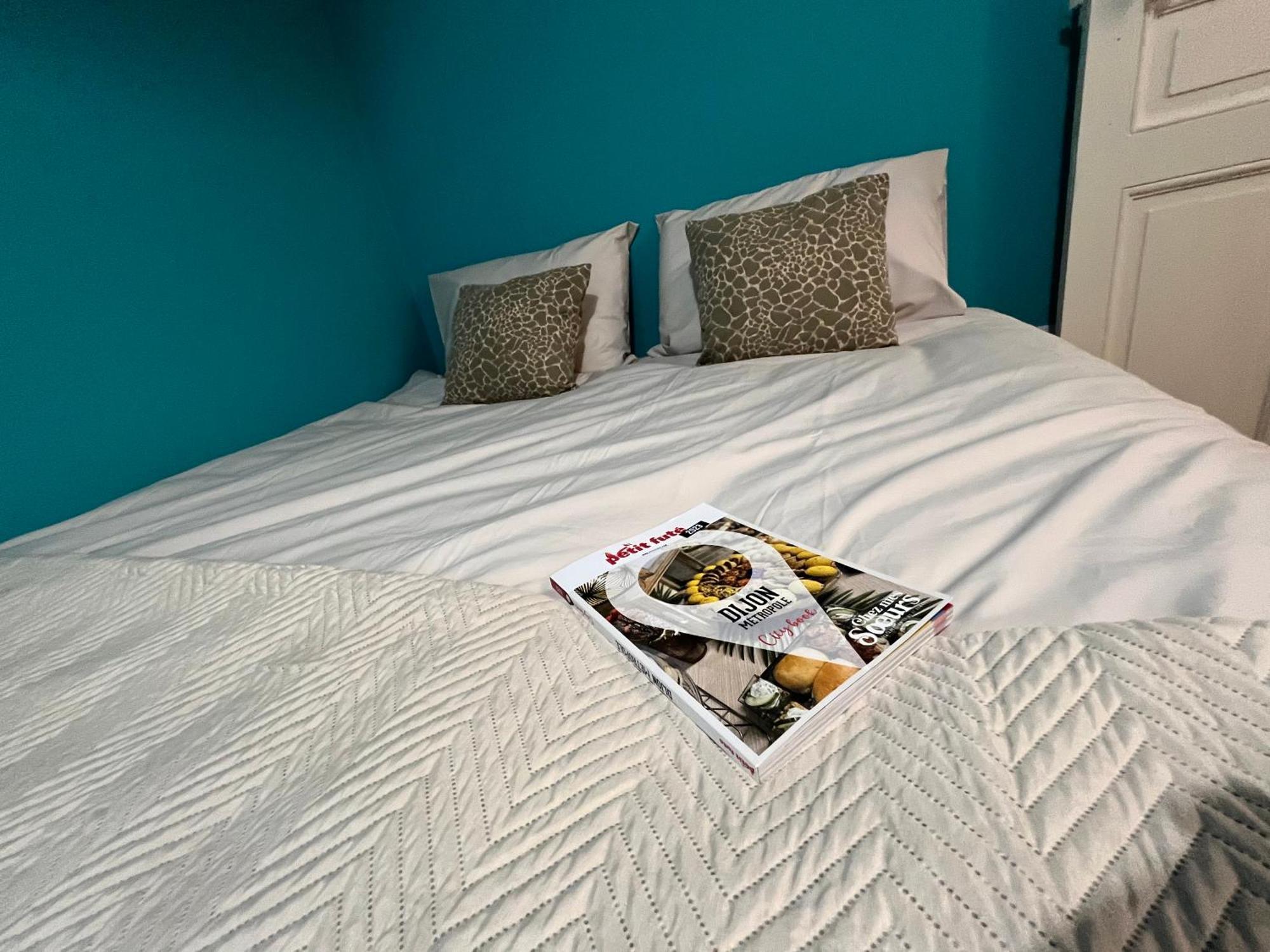 Ferienwohnung Ca Se Passe Ici Dijon Exterior foto